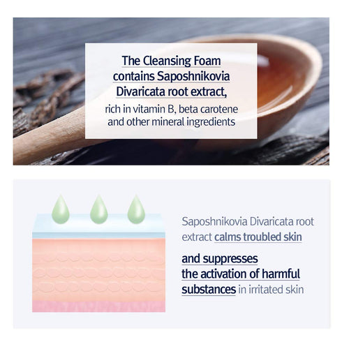 PYUNKANG YUL Cleansing Foam - Korean Facial Wash for All Skin Types - Zero-Irritation Face Washer Extracted from