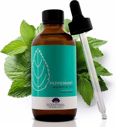 Scentinal Premium Peppermint Essential Oil - 100% Pure Natural & Undiluted - Extra Large 4oz Bottle