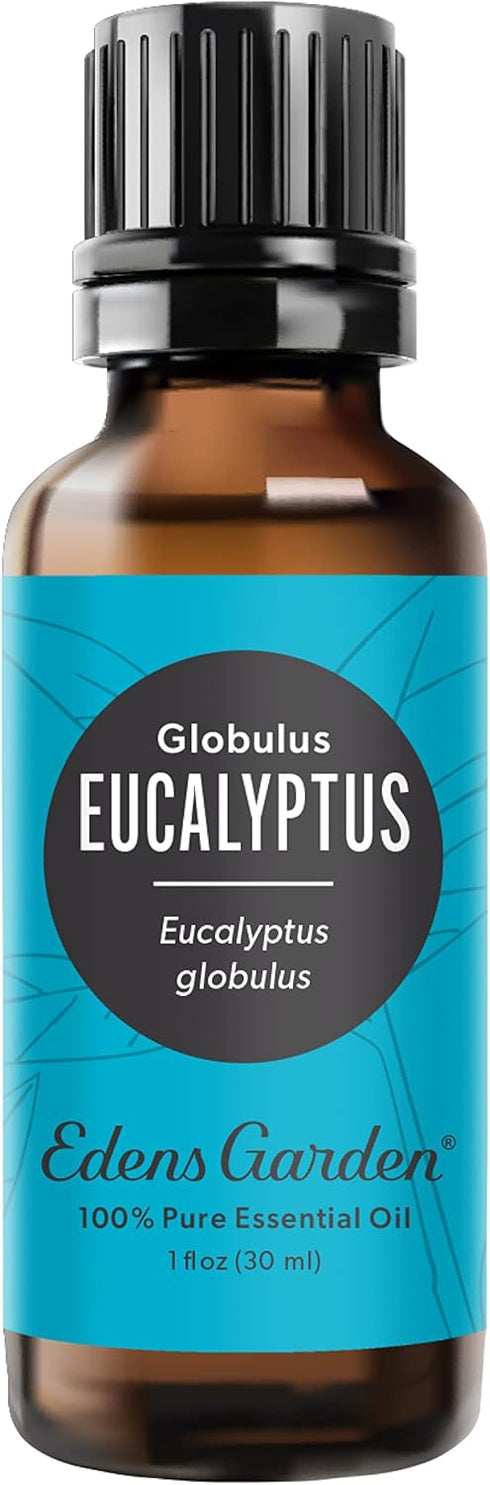 Edens Garden Eucalyptus - Globulus Essential Oil, 100% Pure Premium Grade, 30 ml (1 fl oz)