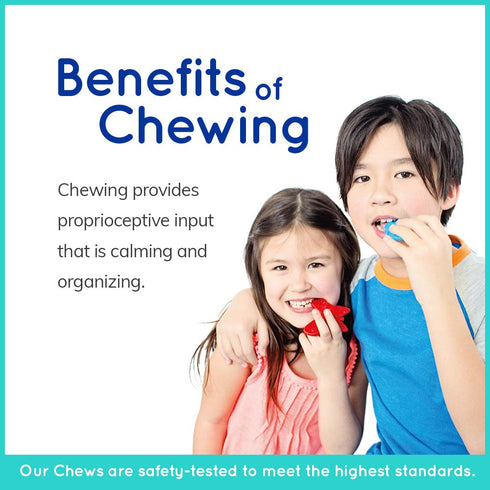 Set Set 2 Fun and Function Shark & Dolphin Chewy Necklace for Light Chewers Great for Children Sensory Challenges