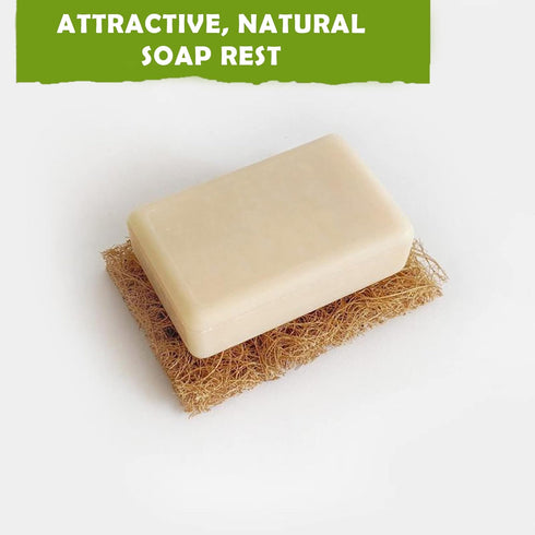 Coconut Husk Scrubber (3) | Natural Dish Scrubber & Eco-Friendly Coconut Scouring Pads | Non-Scratch Coconut Sponge