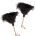 Natural Black Ostrich Feather Duster - 2 Packs, Car Duster for Interior/Exterior Cleaning, Soft and Fluffy (Black)