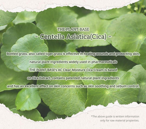 THE PLANT BASE AC Clear Moisture Cica Cream, 100ml / 3.38 Fl oz | Korean Skincare, Centella asiatica 76%