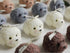 T-shin Candle,100G Teddy Dog Shaped Scented Cute Puppy Animal Aroma Soy Wax Decorative Novelty Candle for Table Photo