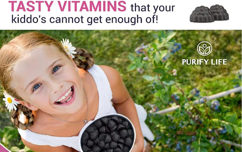 Potent Elderberry Gummies for Kids and Adults, 90ct, Immune System Support