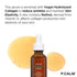P.CALM Retinolagen Ampoule 30ml | Vegan Fragrance-Free Skin Serum with Retinol, Vegan Collagen, Bakuchiol | Korean