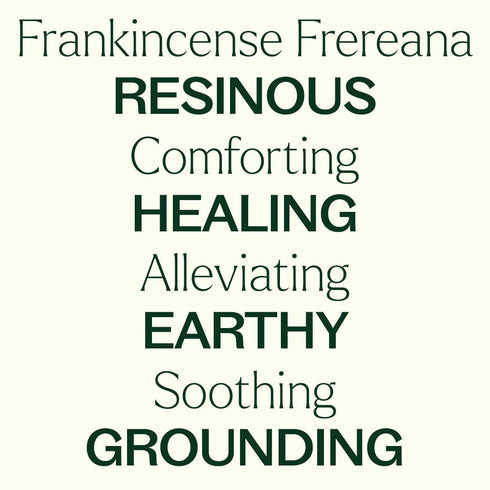 Plant Therapy Organic Frankincense Frereana Essential Oil, 100% Pure, 10 mL (1/3 oz)