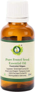 R V Essential Pure Fennel Seed Essential Oil - 30ml (1.01oz) - 100% Pure and Natural Therapeutic Grade Foeniculum