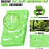 EZ Clean Eco Friendly Cellulose Sponge