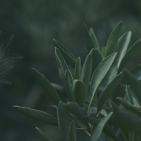 MAGNIFICENT 101 Healing & Manifestation Smudge Candle - 6 Oz Red Soy Wax, 35-Hour Burn, Infused with Oils