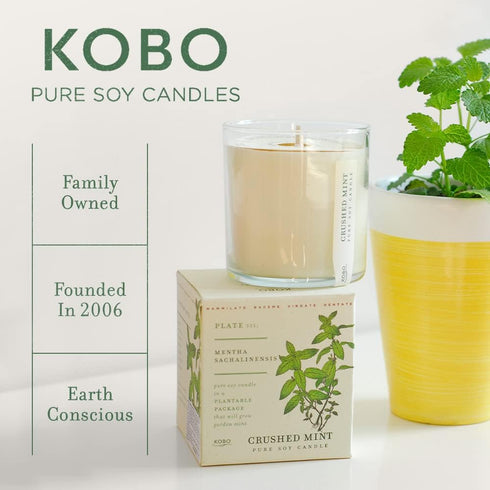 KOBO Wild Tomato Vine Candle, 9 oz | Plantable Box Collection | 100% Pure Soy Wax | Hand-Poured in USA