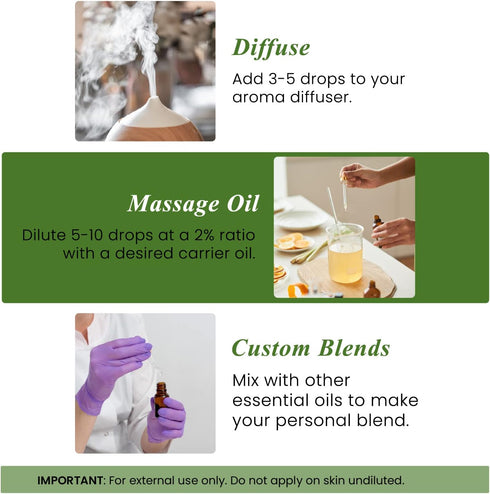 Handcraft Blends Bergamot Essential Oil - 100% Pure Natural Premium Grade Oil for Diffuser and Aromatherapy
