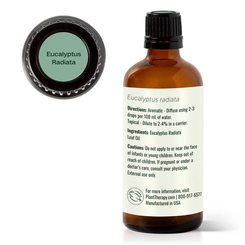 Plant Therapy Eucalyptus Radiata Essential Oil, 100 mL (3.3 oz), 100% Pure, Undiluted