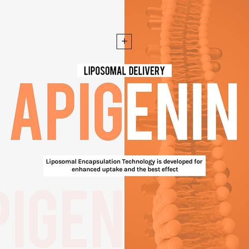 Liposomal Apigenin 500mg Softgels - Optimal Apigenin Supplement with Fisetin, Quercetin, Theaflavins, 4 Month Supply