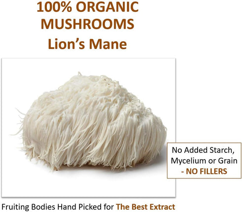 Immune (227g) Jetsu Lions Mane Mushroom Powder, Organic, Vegan, Non-GMO Extract Supplement. Nootropic to Support Brain