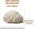 Immune (227g) Jetsu Lions Mane Mushroom Powder, Organic, Vegan, Non-GMO Extract Supplement. Nootropic to Support Brain