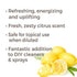 Plant Therapy Lemon Steam Distilled Essential Oil, 10 mL (1/3 oz), 100% Pure, Therapeutic Grade