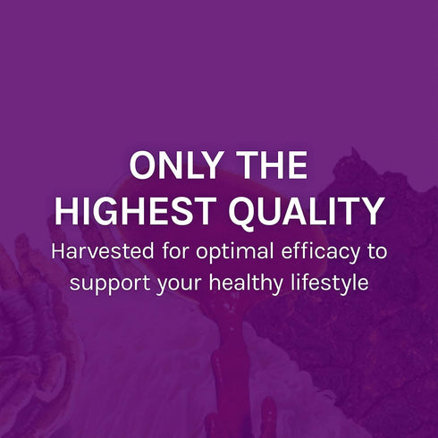 Host Defense MyCommunity Capsules, 30 Capsules for Immune Support with 17 Species Blend
