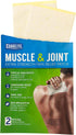 Great Lakes Wholesale 8070790155 2Ct Heat Pain Patch Health Products