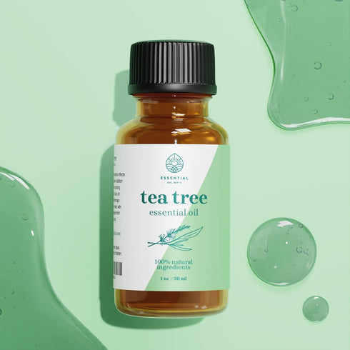 Tea Tree Essential Oil 1 oz by Essential Delights - 100% Pure & Certified Distilled Oil