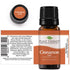 Plant Therapy Cinnamon Leaf Essential Oil 10 mL (1/3 oz) | 100% Pure, Undiluted, Therapeutic Grade