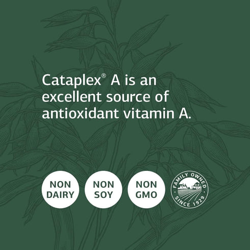 Standard Process Cataplex A - 180 Tablets, Antioxidant Supplement for Eye Health, Vitamin A, Magnesium Citrate,