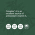 Standard Process Cataplex A - 180 Tablets, Antioxidant Supplement for Eye Health, Vitamin A, Magnesium Citrate,