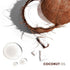 Mizani True Textures Curl Define Pudding for Curly Hair - Moisturizing, Prevents Frizz with Coconut Oil