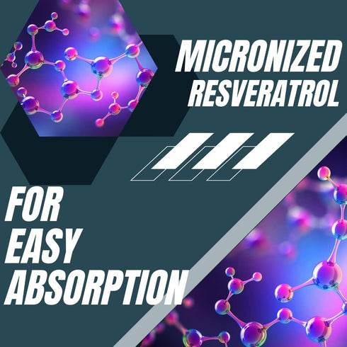 Research Labs 2X Potency Micronized Resveratrol Supplement 1200mg Per 2 Capsules, 120 Total - Potent Antioxidants