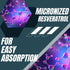 Research Labs 2X Potency Micronized Resveratrol Supplement 1200mg Per 2 Capsules, 120 Total - Potent Antioxidants