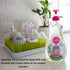 Dapple Baby Bottle and Dish Soap, Lavender, 16.9 Fl Oz (Pack of 3), Plant-Based Hypoallergenic