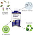 Tonic Traveler Mouthwash Minis (12 Pack) + Bamboo Toothbrush - Natural Alcohol-Free Mouthwash for Gum Health & Bad