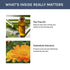 Impressive Smile 4.05 oz. Impressive Beauty Intimate Wash for Men Natural Organic with Tea Tree Oil | pH Balanced Foam