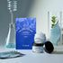 T'ELSE Blue Agave Hyaluronic Acid Mask 25ml*5ea, Moisturizing Watery Sheet Facial Mask with Excellent Hydration