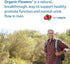 Garden of Life Probiotic - Supports Healthy Prostate, Acidophilus & Digestive Balance, 60 Count