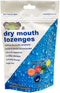 Dry Mouth Relief Fruit Mix 3.3oz Bag, Relieves Dry Mouth & Increases Saliva Production, 30 Ct