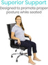 Vive Full Lumbar Cushion - Memory Foam Contour Support for Lower Back Pain - Ergonomic Pressure Relief for Office