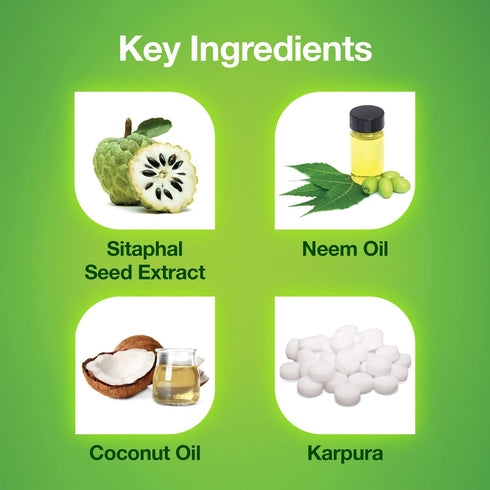 Mediker 50 ml Anti Lice Treatment Shampoo with Neem & Coconut for Lice & Eggs | Relieves Itching From Lice Bite