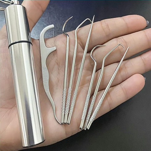 Dental Pick Portable Stainless Steel Tooth Pick Set, 7PCS Reusable Teeth Cleaning Tools with Holder