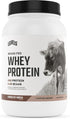 Levels Grass Fed Whey Protein Powder - No Artificials, 24G Protein, Chocolate Mocha, 2LB