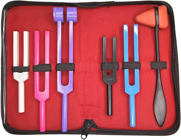 Next Level Product 6-Piece Tuning Fork Collection Ideal for ENT Diagnostics