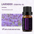Set, 2 10ml GREENSLEEVES Rose Lavender Essential Oil x Pure Plant-Based Fragrance Oil for Aromatherapy, Essential Oils
