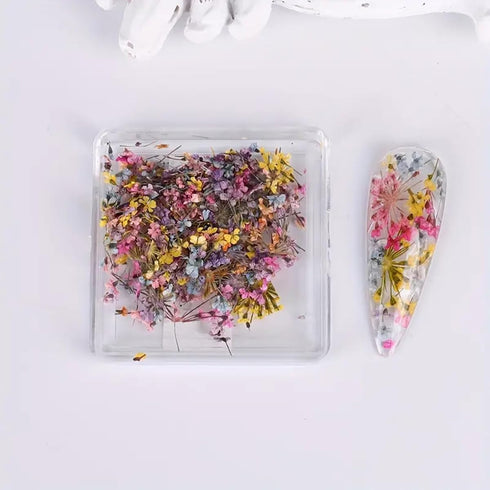 3D Dried Flower for Nails, Flower Nail Art Stickers 1Box Mixed Dried Flowers for Nail Art Resin DIY Crafts Natural Real Dry Flower Decals for Spring Summer Manicure Nail Art Decorations (Style3) by SINSEN