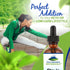 Pure Mountain Botanicals Liquid Stevia Drops, Natural Sugar Free Sweetener, Ideal for Keto and Vegan Diet