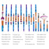 KOLIGHT Pack of 20pcs Cosmetic Eye Shadow Sponge, Eyeliner, Eyebrow, Lip, Nose, Foundation Powder Makeup Brushes Sets