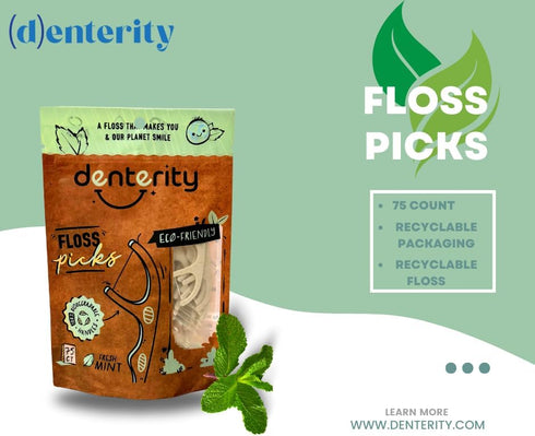 Biodegradable Dental Floss Picks, Earth Friendly Handle, Mint Flavor, 75ct Pack of 1, White