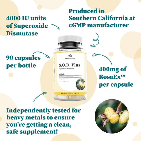 Nature Restore S.O.D. Superoxide Dismutase Supplement, Vegan, 90 Capsules, 4,000 IU SOD-Like Activity, Non-GMO, Gluten