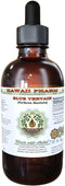 Blue Vervain Alcohol-Free Liquid Extract, Organic Blue Vervain (Verbena Hastata) Dried Parts Glycerite, 2 oz