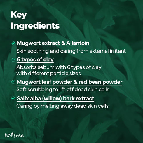IsNtree Mugwort Calming Clay Mask 100ml, Korean Skincare for Deep Pore Cleansing & Sebum Control