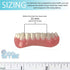 Billy-Bob Instant Smile Teeth Lower Veneer